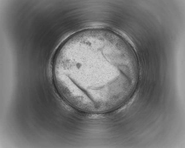 X0000111040835200907231534