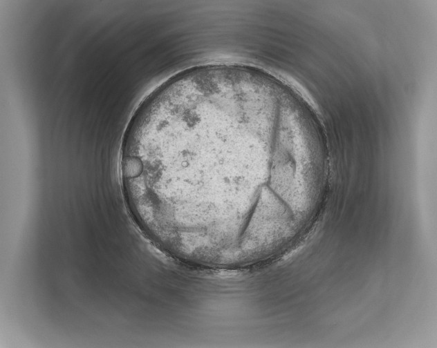 X0000111040839200907231534