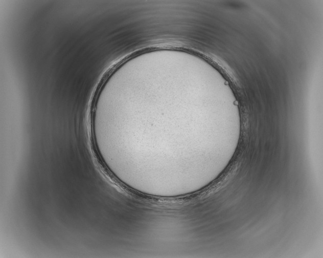 X0000111040840200907231534