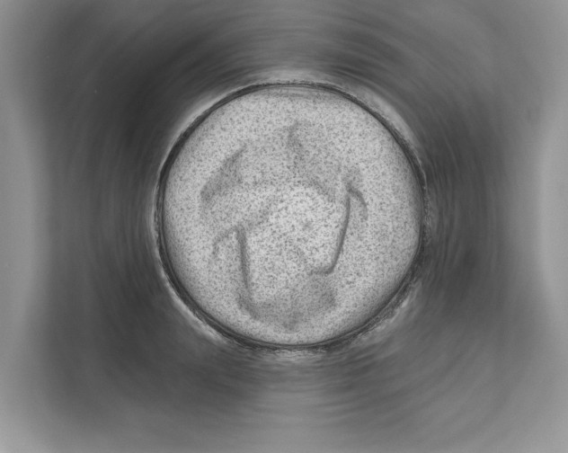 X0000111040847200907231534