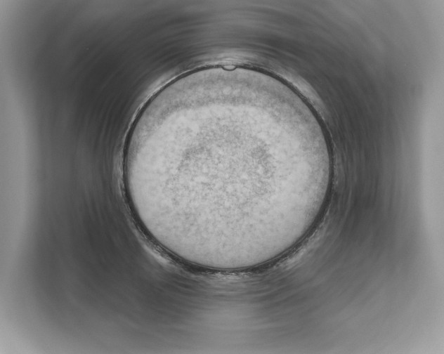 X0000111040850200907231534