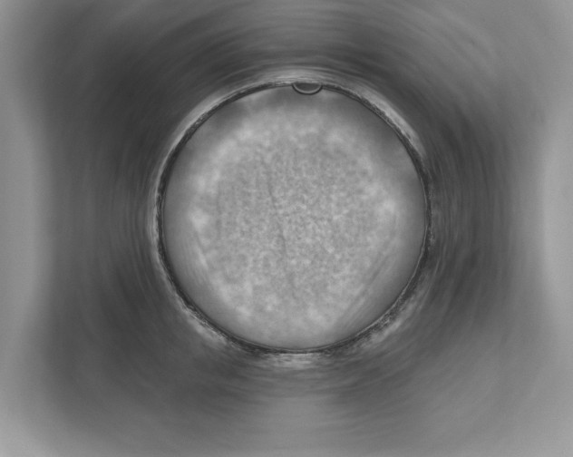 X0000111040853200907231534