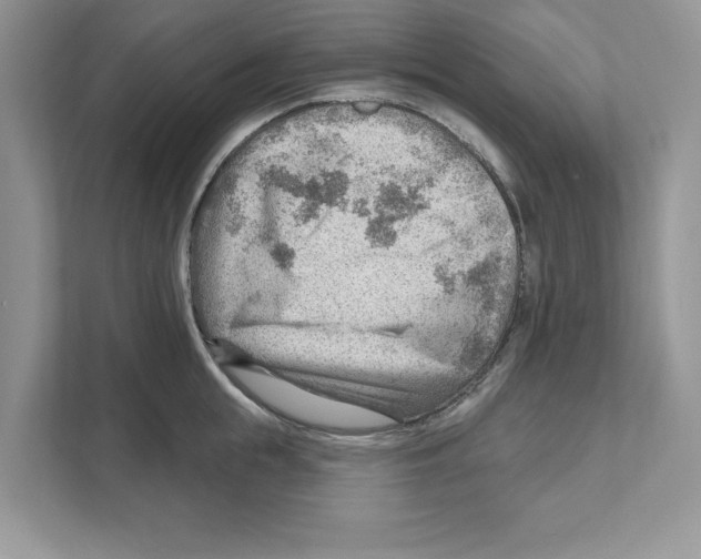 X0000111040855200907231534