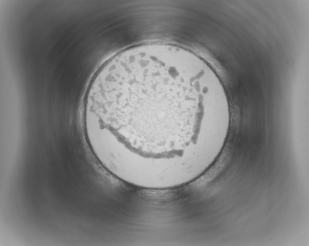 X0000111040856200907231534