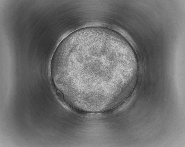 X0000111040858200907231534