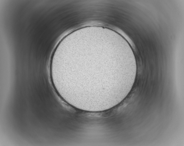 X0000111040861200907231534