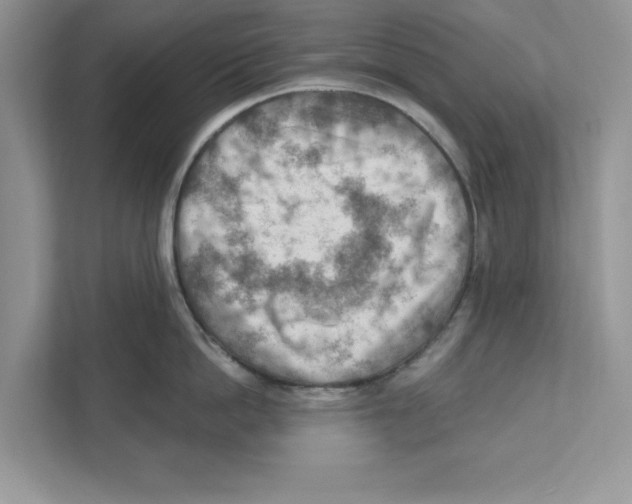 X0000111040862200907231534