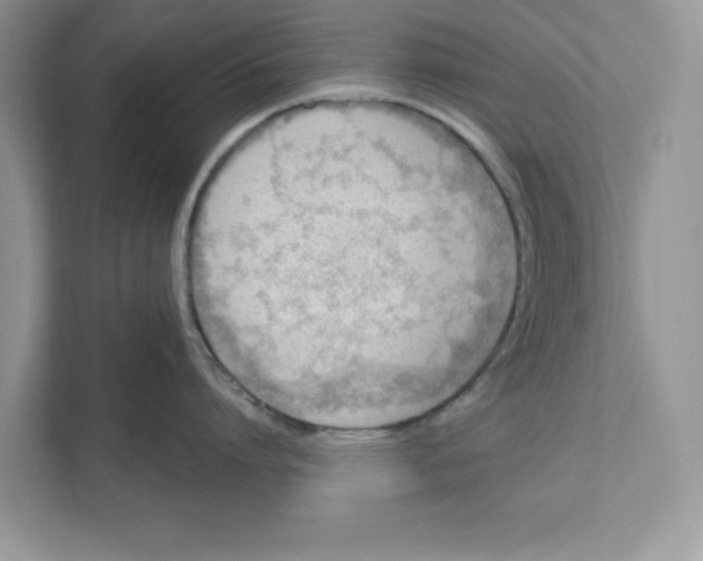 X0000111040864200907231534