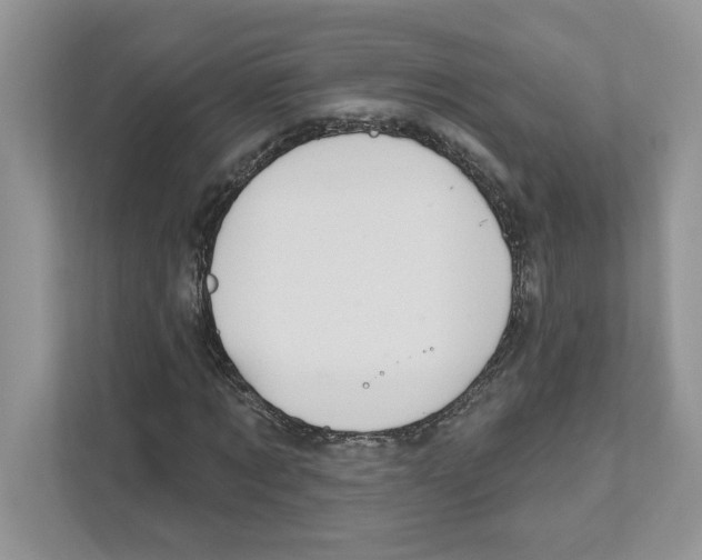 X0000111040869200907231533