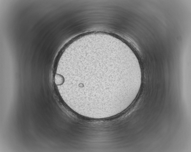 X0000111040880200907231533