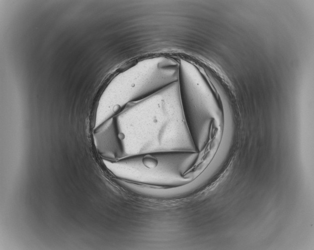 X0000111040881200907231533