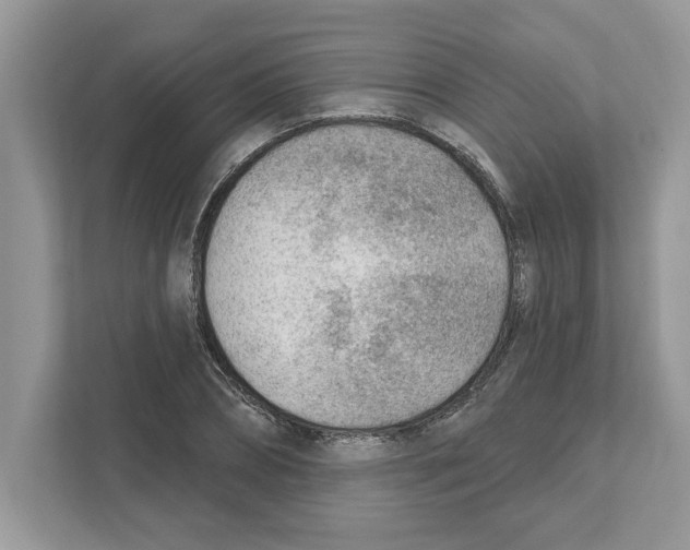 X0000111040882200907231533