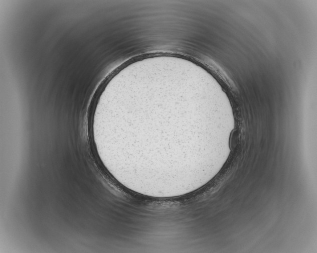 X0000111040884200907231533