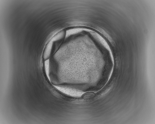 X0000111040885200907231533