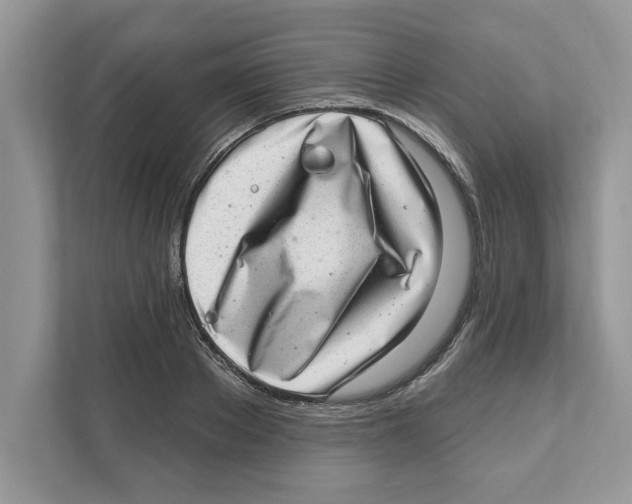 X0000111040889200907231533