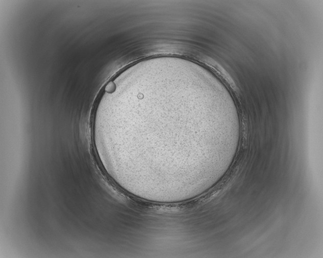 X0000111040890200907231533