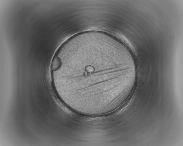 X0000111040892200907231533