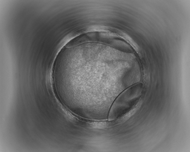 X0000111040893200907231533