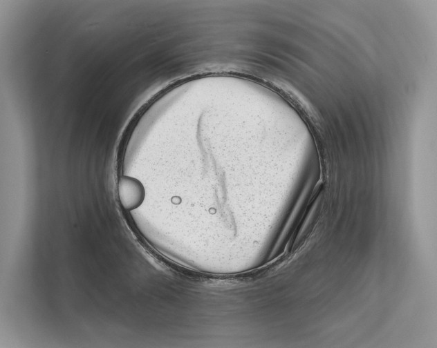 X0000111040894200907231533