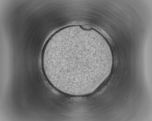 X0000111040896200907231533