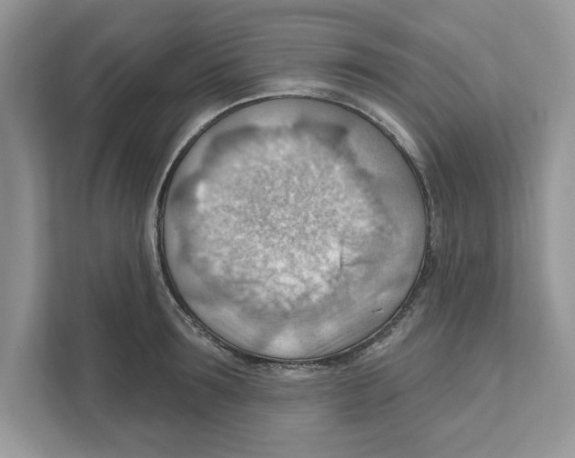 X0000111040899200907231533