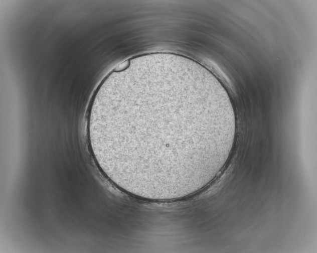 X0000111040900200907231533