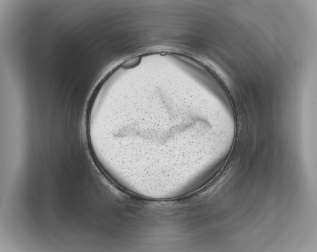 X0000111040902200907231533