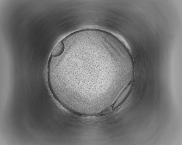 X0000111040903200907231533