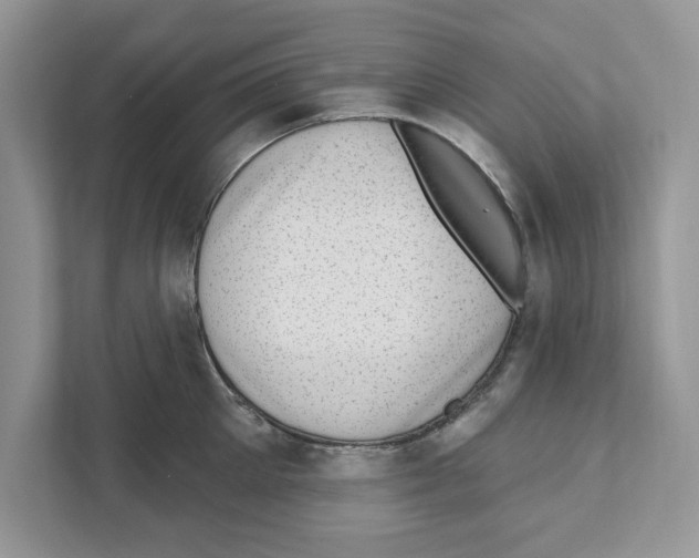 X0000111040905200907231533