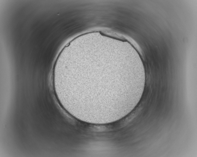 X0000111040911200907231533