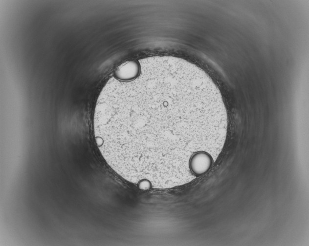 X0000111040918200907231532