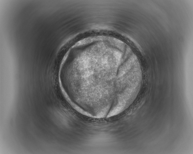 X0000111040919200907231532