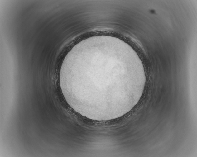 X0000111040920200907231532