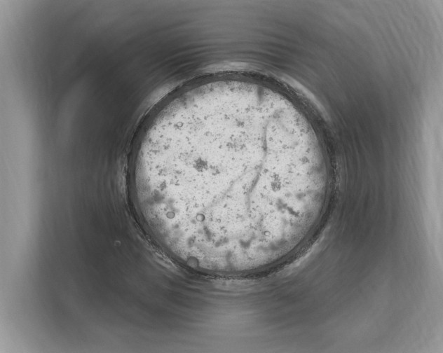 X0000111040921200907231532