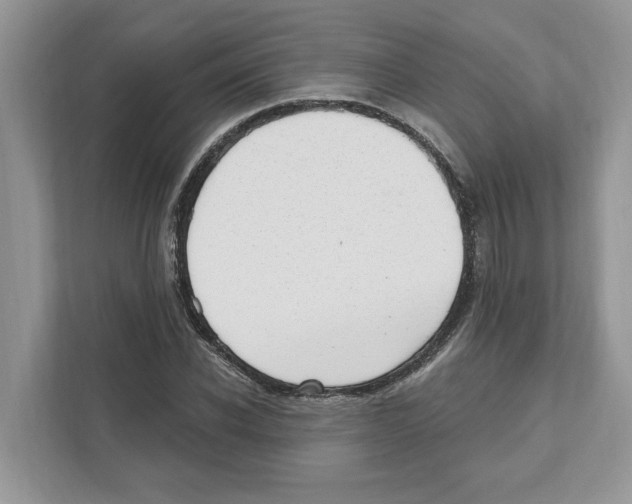 X0000111040926200907231532