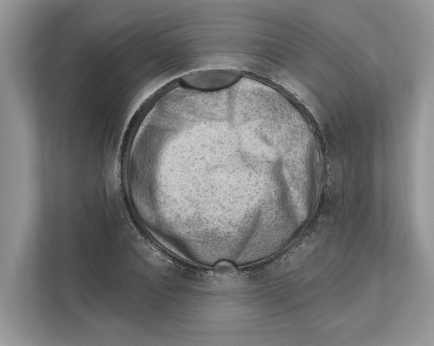 X0000111040928200907231532