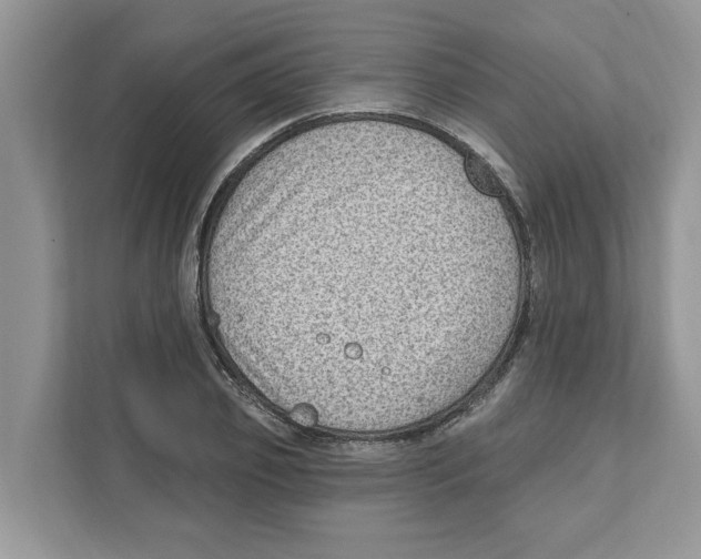 X0000111040933200907231532