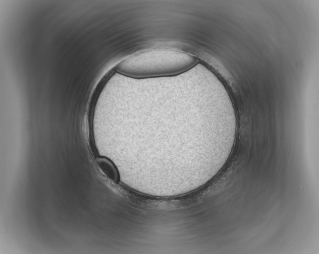 X0000111040936200907231532