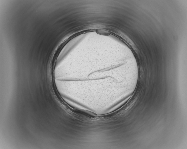 X0000111040939200907231532