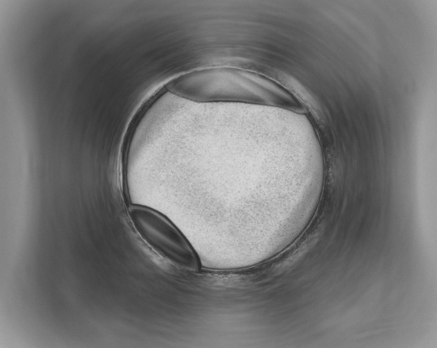 X0000111040940200907231532