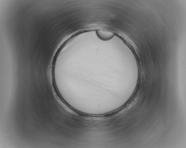 X0000111040941200907231532