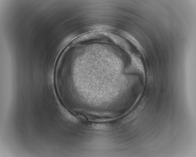 X0000111040946200907231533