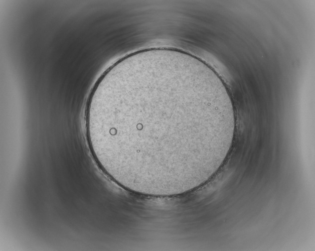 X0000111040950200907231533