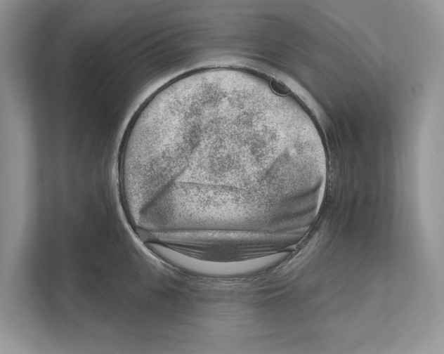 X0000111040951200907231533