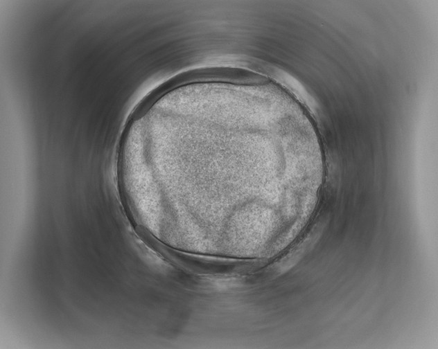 X0000111040952200907231533