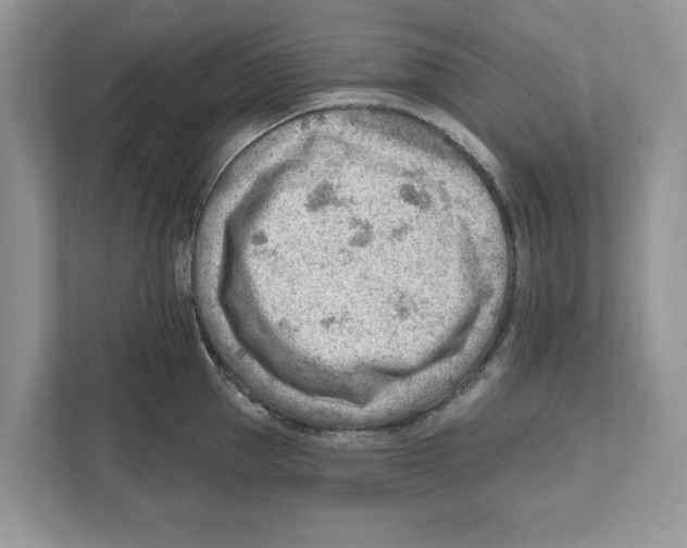 X0000111040953200907231533