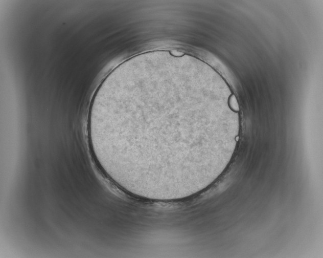 X0000111040954200907231533