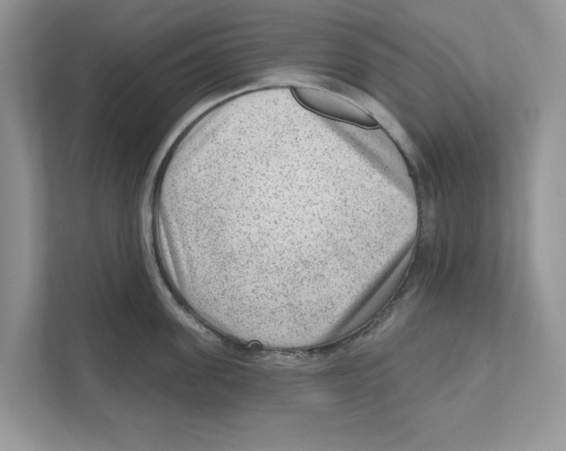 X0000111040955200907231533