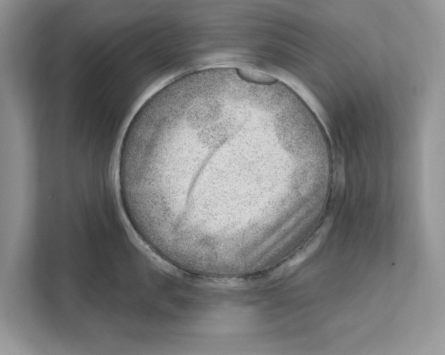 X0000111040957200907231533