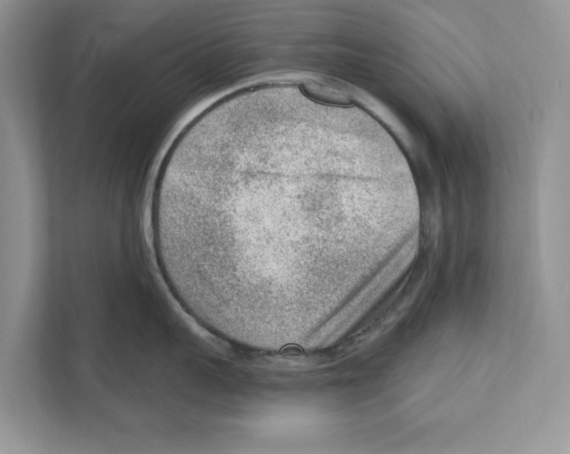 X0000111040959200907231533